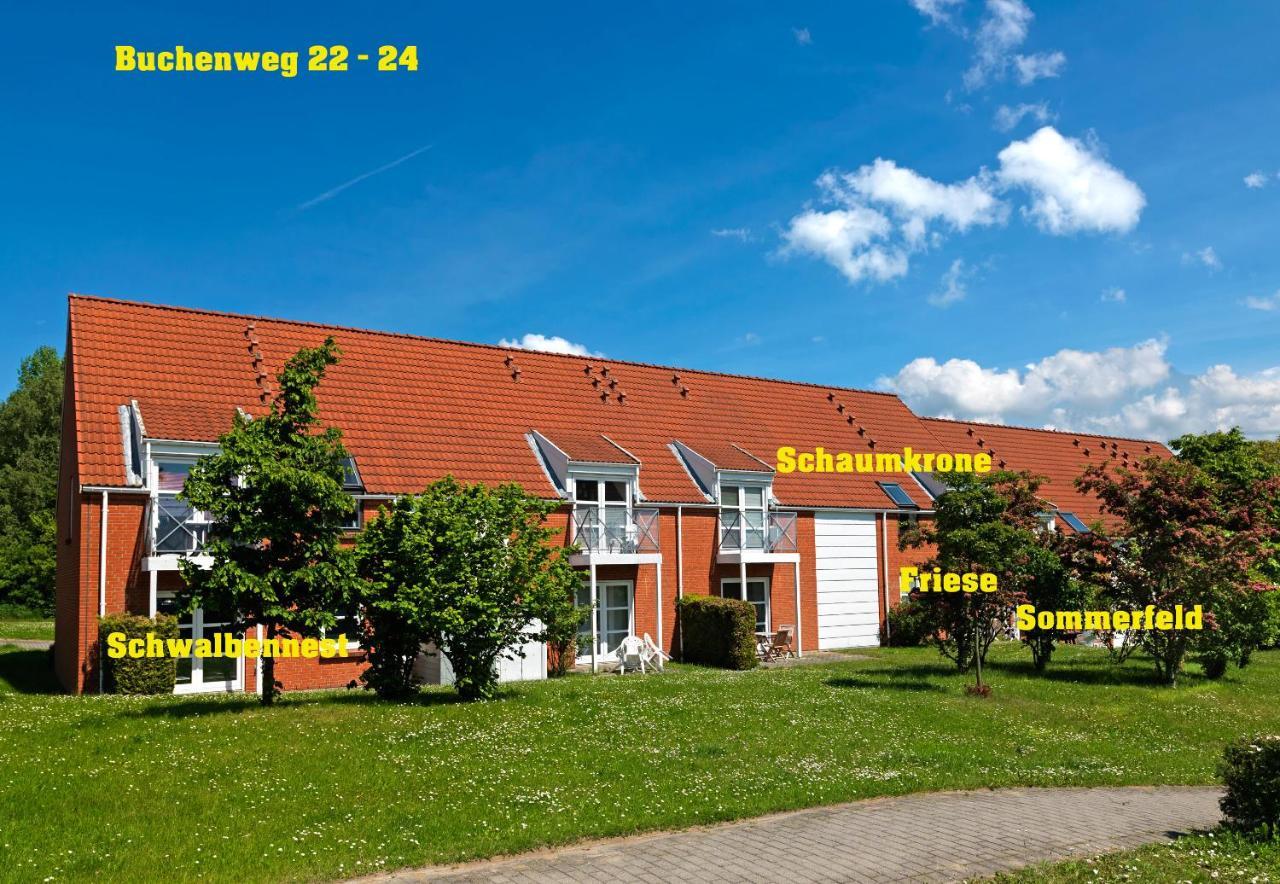 Buchenweg Whg.24, Friese, Eg Re Apartment Insel Poel Bagian luar foto