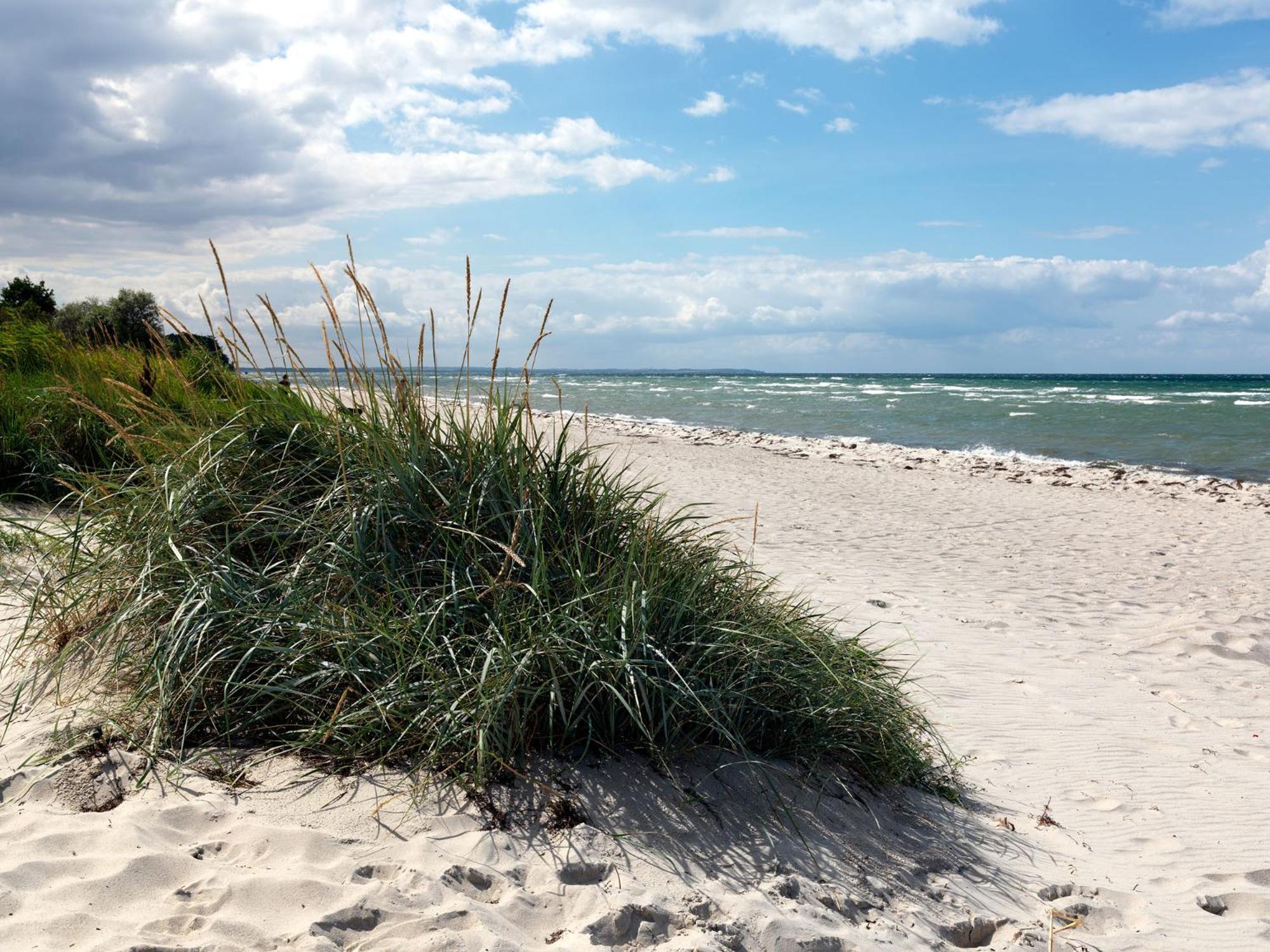 Buchenweg Whg.24, Friese, Eg Re Apartment Insel Poel Bagian luar foto